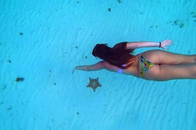 El Cielo Cozumel Snorkeling trip by Catamaran - Why El Cielo reef snorkeling in Cozumel is worth your time