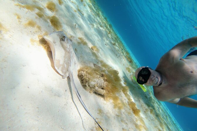 El Cielo Cozumel Snorkeling trip by Catamaran - Reef-safe sunscreen rules and what to bring