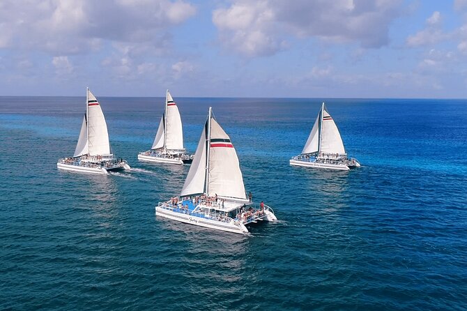 El Cielo, Palancar Snorkel & Beach Party Experience - Snorkeling at Palancar reef: the part you should care about