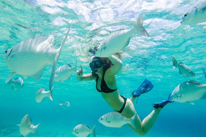 El Cielo Snorkel by Private Boat - A private boat in Cozumel: why it feels better