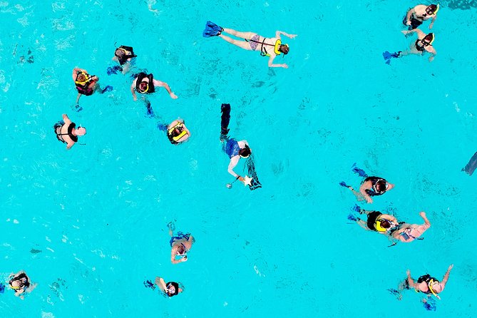El Cielo Snorkel by Private Boat - Price and value: $499.99 per group, up to 6 people