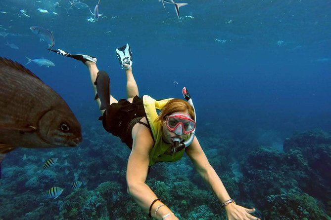 El Cielo Snorkel by Private Boat - Tortugas Snorkel Center meeting point: easy start, no pickup
