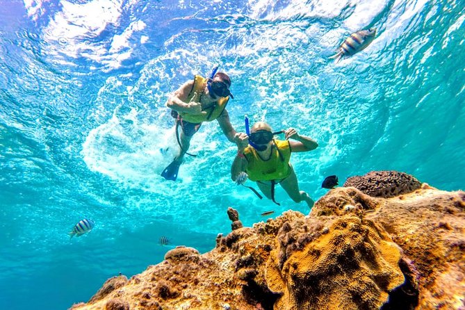 El Cielo Snorkel by Private Boat - Gear rules: no sunscreen, pack long sleeves and a hat