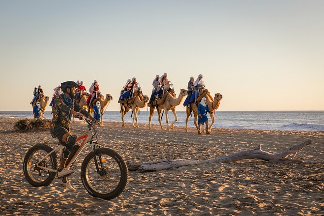 Electric Bike and Beach Camel Ride with Mexican Buffet Lunch - Key Highlights at a Glance