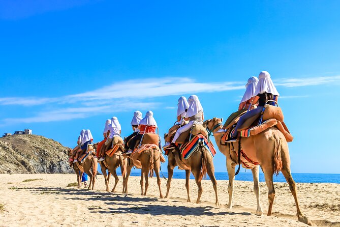 Electric Bike and Beach Camel Ride with Mexican Buffet Lunch - Margaritas, Unlimited Mexican Buffet, and Tequila Tasting