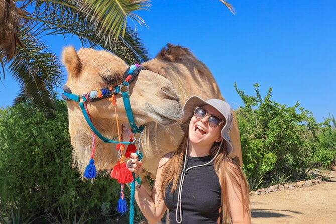 Electric Bike and Beach Camel Ride with Mexican Buffet Lunch - Price and Value: What $129 Actually Means in the Real World