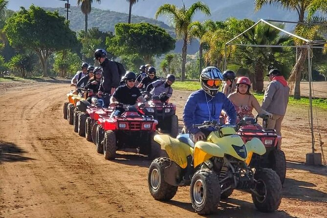 Enesenda Shore Excursion ATV Adventure with Tacos & wine tasting - Key things that make this ATV tour work