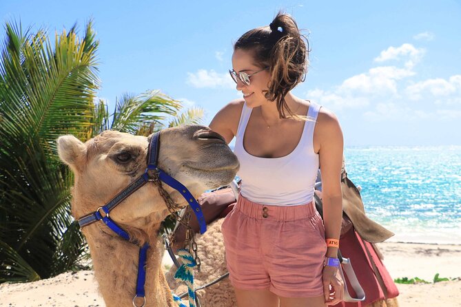 ENJOY UNIQUE CAMEL RIDE in Puerto Morelos with Transportation - Your 2.5-Hour Tour, Plus the Real-Time Reality of Cancun Timing
