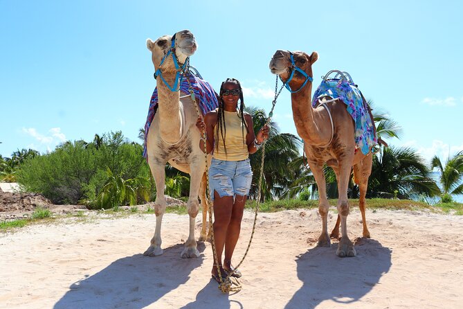 ENJOY UNIQUE CAMEL RIDE in Puerto Morelos with Transportation - Price and Value at $165 Per Person, What You Are Actually Paying For