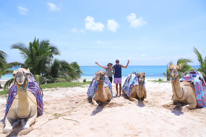ENJOY UNIQUE CAMEL RIDE in Puerto Morelos with Transportation - Stop 1: Check-In at El Dorado Maroma, Safety Briefing, and Getting Ready