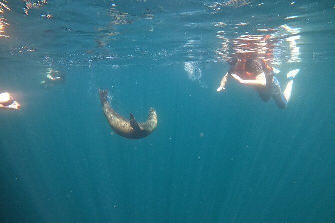 Espiritu Santo Island and sea lions - Lunch and drinks on board: included comfort that actually helps