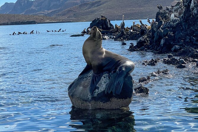 Espiritu Santo Island and sea lions - Your guides and crew: the difference between a good tour and a great one