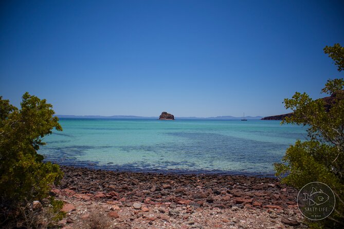 Espiritu Santo Island and sea lions - Price and value: is $131.42 per person worth your time?