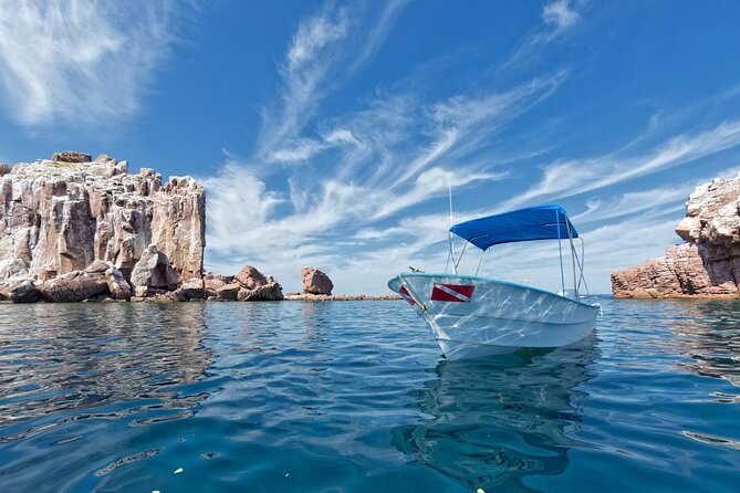 Espiritu Santo Island Snorkel & Sea Lion Adventure - Isla los Islotes Sea Lion Snorkel, What Makes It Worth the Boat Ride