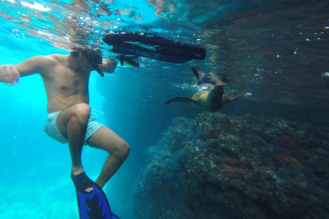 Espiritu Santo Island Snorkel & Sea Lion Adventure - La Paz Departure, Dock Check-In, and the Cash-Only Fees That Catch People