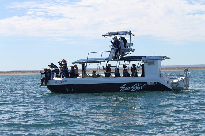 Espiritu Santo Island Snorkel & Sea Lion Adventure - Wildlife Beyond Sea Lions, Plus the Bonus Whale and Dolphin Moments