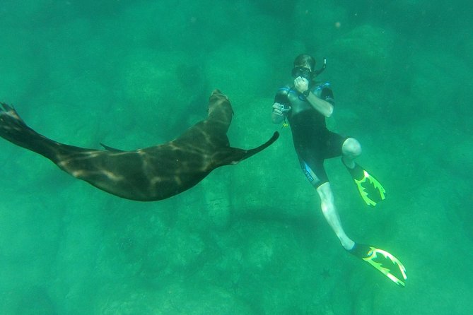 Espiritu Santo Island Snorkel & Sea Lion Adventure - Price and Value for $145, What’s Included and What’s Extra