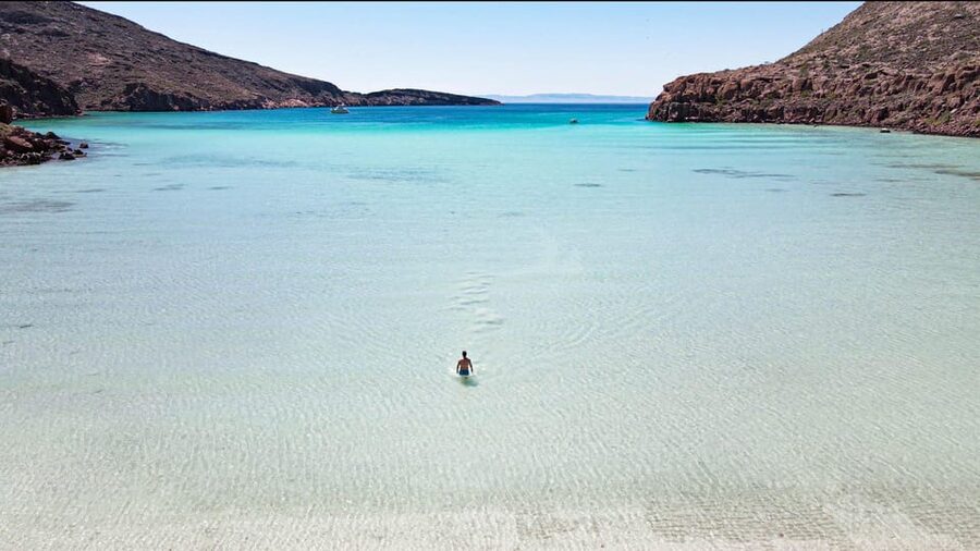 Espiritu Santo Island: Snorkeling Sea Lion Adventure - Who should book, and who should skip it