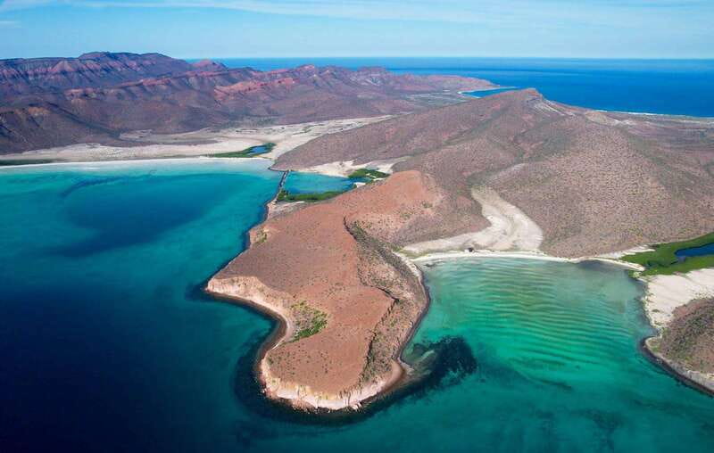Espiritu Santo Island: Snorkeling Sea Lion Adventure - The snorkel part at Los Islotes: what happens, what is required, and what to expect