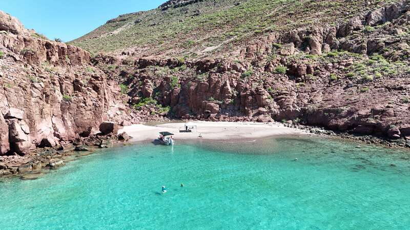Espiritu Santo Island: Snorkeling Sea Lion Adventure - The guide team and safety vibe: why it feels “hands-on” in a good way