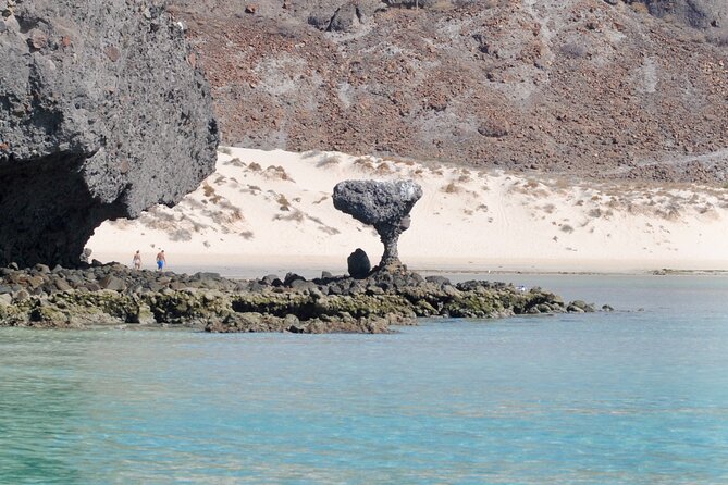 Espiritu Santo Island Tour - Paradise beaches and lunch: the part you will remember