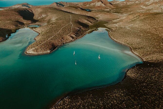 Espiritu Santo Island Tour - Price and what makes it feel like a fair deal