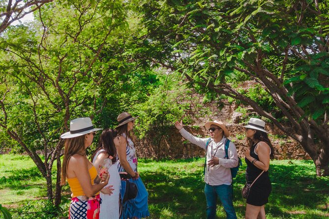 Essence Zapoteca Monte Albán, Barro Negro and Alebrijes for a day. - Who this tour fits best