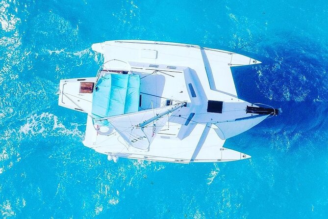 Exciting Catamaran Tour to Isla Mujeres, from Cancún! - Snorkeling stop near Isla Mujeres: what you should expect in the water