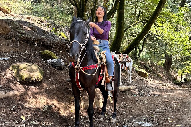 Exclusive Horseback Ride w/ Mexican Charros Family in México City - Meeting the charros family, and why the warm-up matters