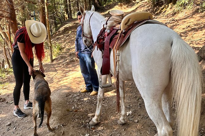 Exclusive Horseback Ride w/ Mexican Charros Family in México City - The ride itself: guided routes, river crossings, and no racing