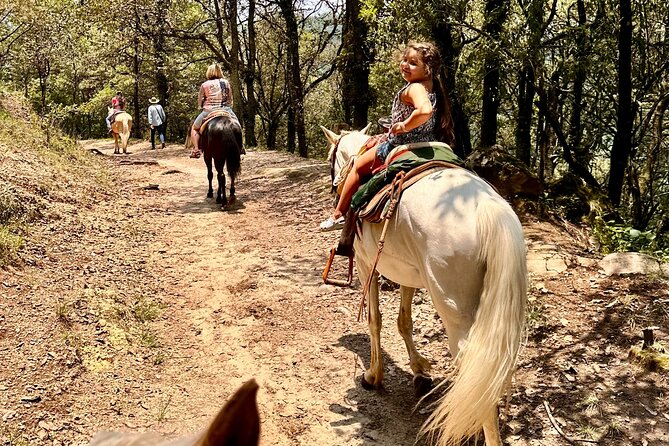 Exclusive Horseback Ride w/ Mexican Charros Family in México City - Private tour energy: why it feels different with your group