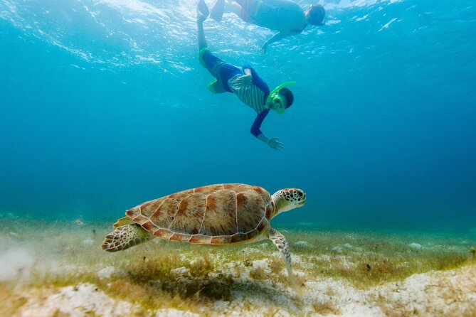 Exclusive Private Boat to El Cielo - Stop 2: Colombia Deep Reef for Another Reef Shot