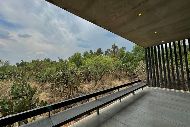 EXCLUSIVE TOUR at Diego Rivera Anahuacalli Museum - Small Groups - What to do before and after your visit