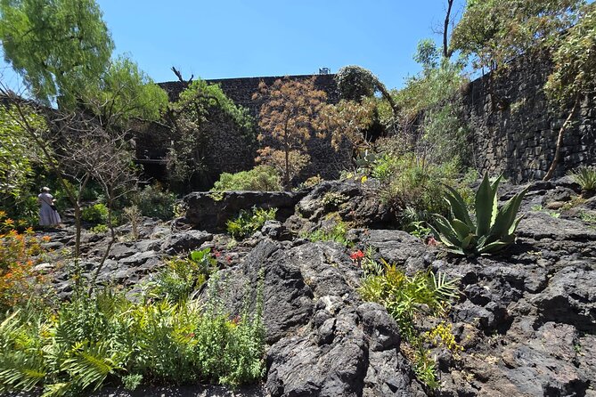EXCLUSIVE TOUR Luis Barragán Casa Pedregal - small groups - Entering Casa Pedregal: what to look for while you walk