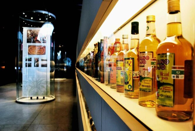 EXCLUSIVE TOUR Tequila & Mezcal - small groups - Key highlights to look for