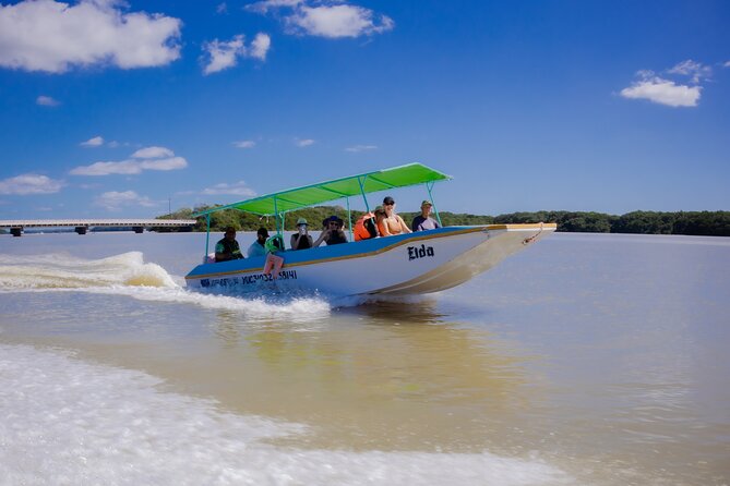 Excursion to Celestun Biosphere and Beach Day from Merida - Getting there and timing it right from Mérida