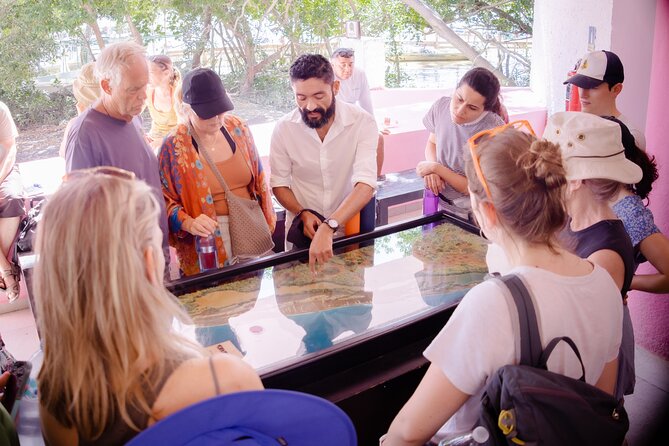 Excursion to Celestun Biosphere and Beach Day from Merida - Who should book this Celestún day trip?