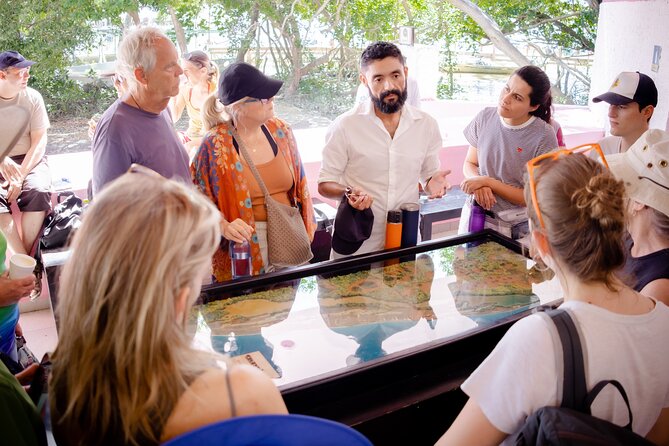 Excursion to Celestun Biosphere and Beach Day from Merida - Quick wrap-up: should you book it?