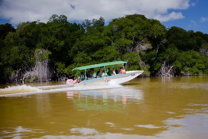 Excursion to Celestun Biosphere and Beach Day from Merida - FAQ