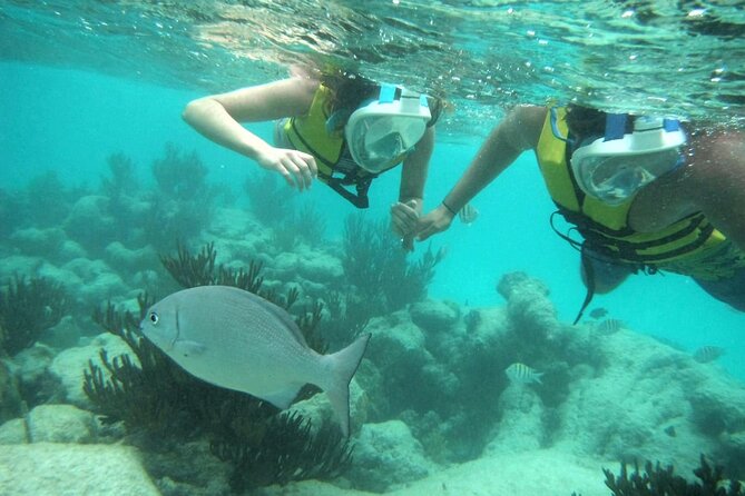 Exotik half a day tour: Cenote Cave and Swimming with Sea Turtles - Getting Ready: What To Pack, Swim Skills, and Common Mistakes