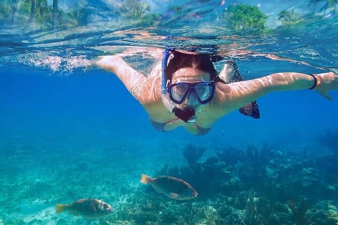 Exotik half a day tour: Cenote Cave and Swimming with Sea Turtles - Who This Tour Fits, and Who Might Want Another Plan