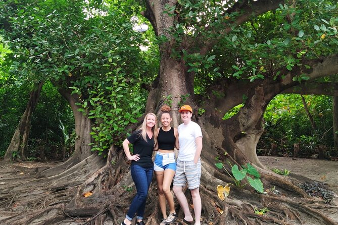 Experience Cancun's Hidden Gems, Mayan museum, cenote & Market 23 - Logistics that make the day smoother (and where costs can change)
