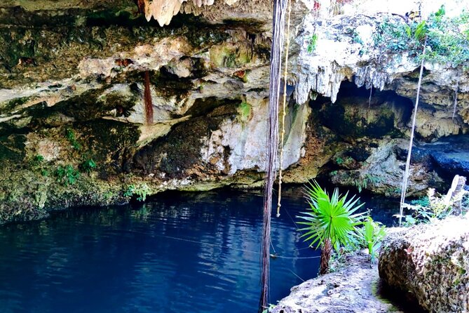Experience Cancun's Hidden Gems, Mayan museum, cenote & Market 23 - Who this tour is best for, and who might prefer a different day