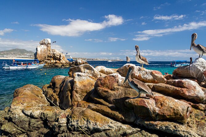 Experience the Clear Boat adventure & Cabo San Lucas City Tour - Getting there smoothly from San Jose del Cabo