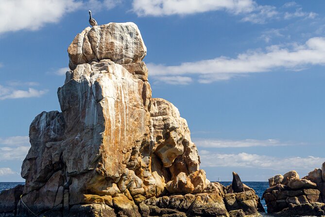 Experience the Clear Boat adventure & Cabo San Lucas City Tour - Plaza Amelia Wilkes, a calmer look at central Cabo