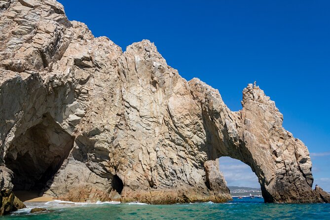 Experience the Clear Boat adventure & Cabo San Lucas City Tour - Guides make or break the day, and Cabo has some strong ones