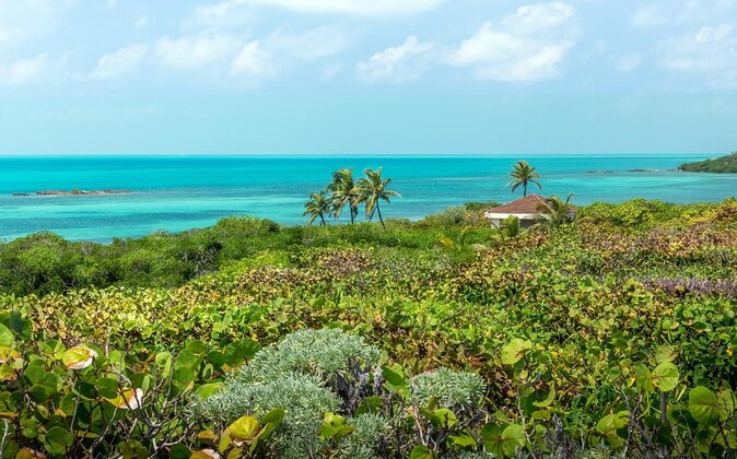Explore Contoy Island - Key Details That Matter Before You Go