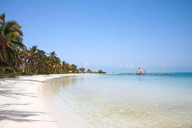 Explore Contoy Island - A 55-Foot Boat Day With Two Islands, Not Just One