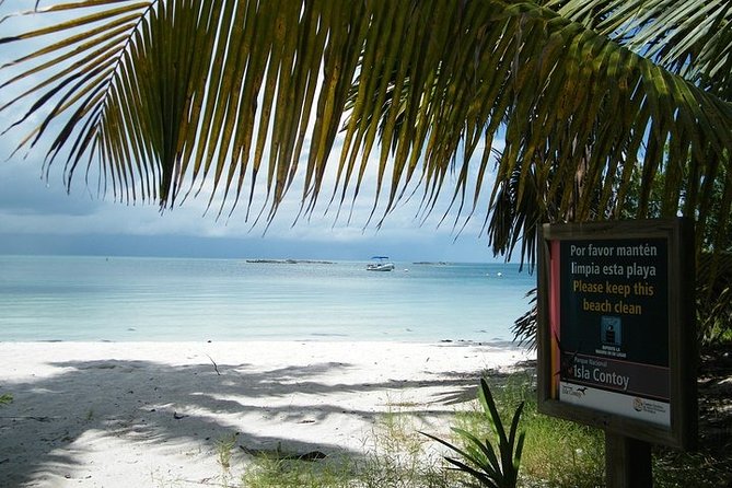 Explore Contoy Island - Ixlache Reef snorkeling: who it fits and what you need to know