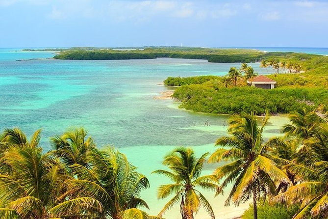 Explore Contoy Island - Isla Contoy National Park: the calm, wildlife-focused side of the day